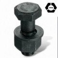 DIN En 14399-3 Heavy Hex Bolts with Black